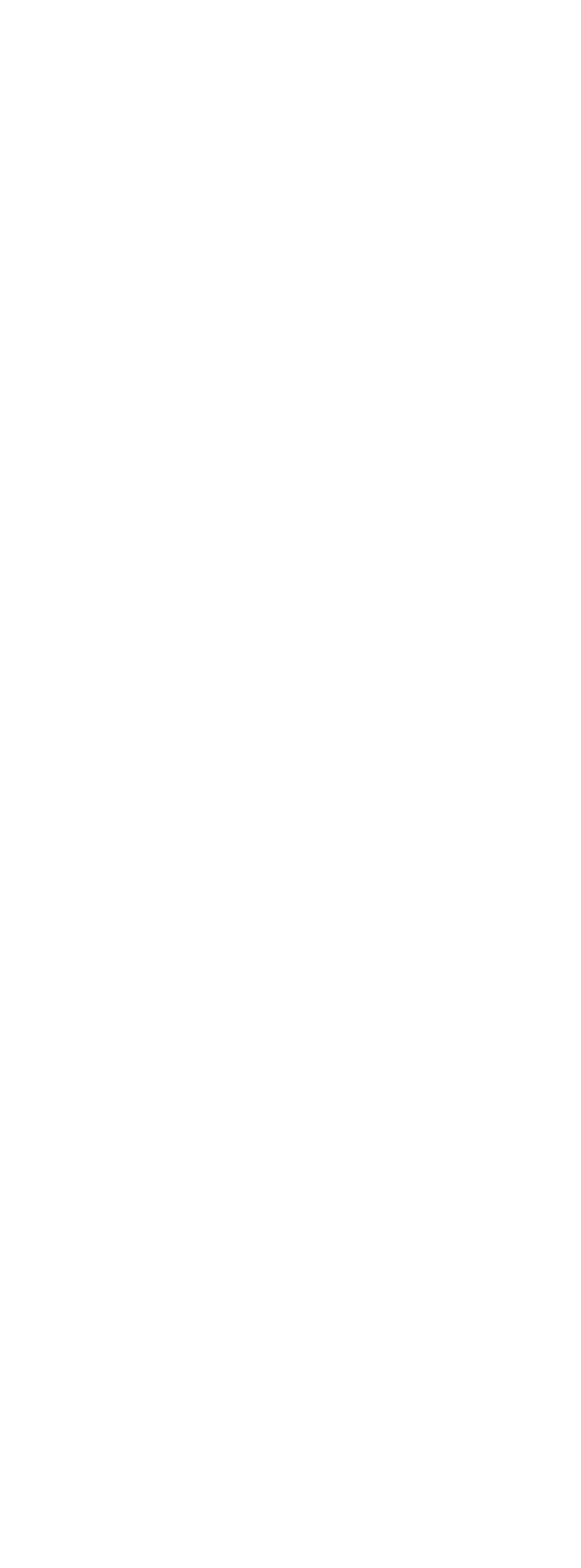 WHEELED SKID-STEER LOADER